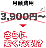 月額費用3,900円～さらに安くなる！？